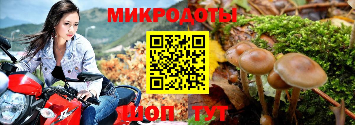 Псилоцибиновые грибы мицелий  Вход с VPN  Партизанск 