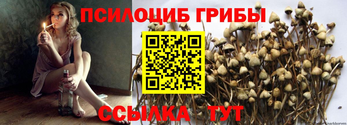 Псилоцибиновые грибы GOLDEN TEACHER Партизанск